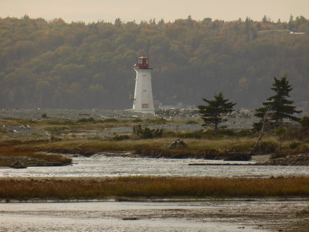 Montreal Montreal City