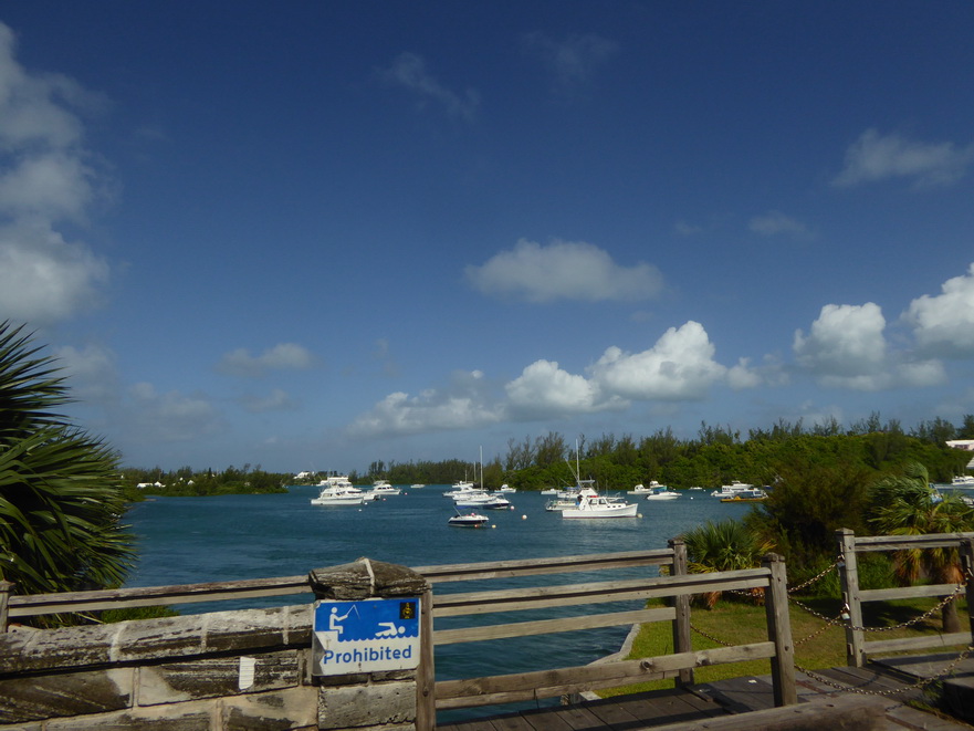 Hamilton Bermuda Houses 