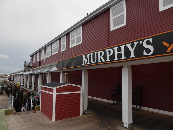 Halifax Harbour Hailfax Island Mc Nabs Peggys Cove