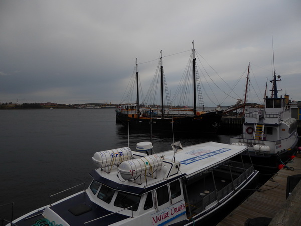 Halifax Harbour Hailfax Island Mc Nabs Peggys Cove