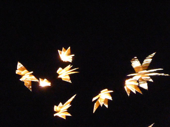 Kölner Lichter 2015 Gilles Schiff Namedy