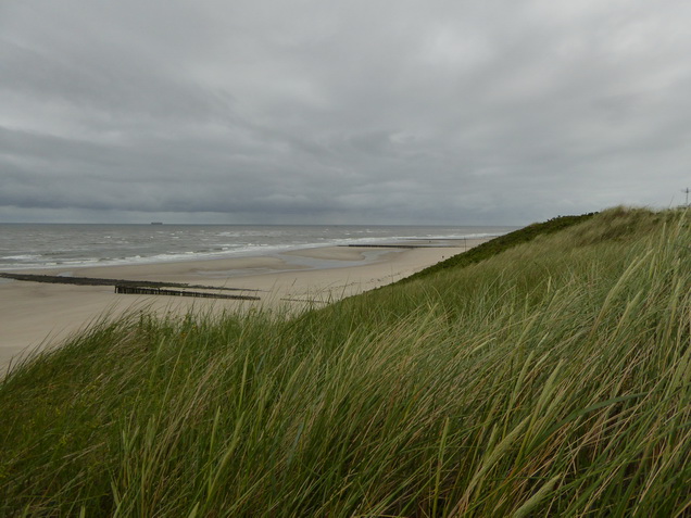   Wangerooge Dünen  Dünen auf  Wangerooge  wangerooge.de