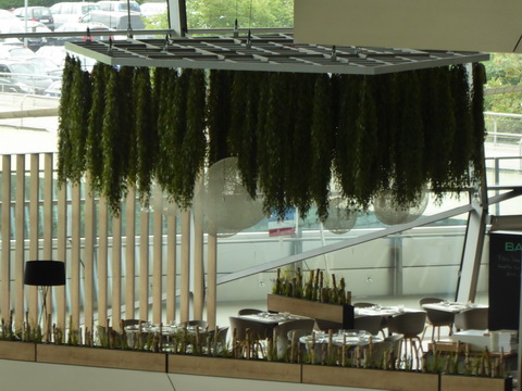 BMW München BMw München