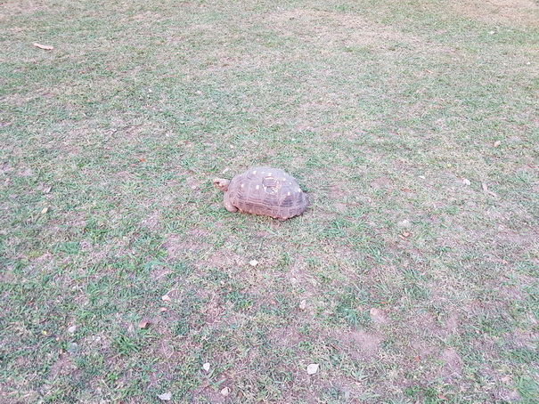   pousada pequi  pousada pousada piqui   pousada pequi  