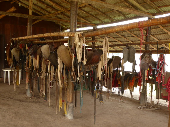 Pousada São João Ecotour   Dschungellodge Pantanal  Pousada São João Ecotour  Pousada São João Ecotour    tapirprint