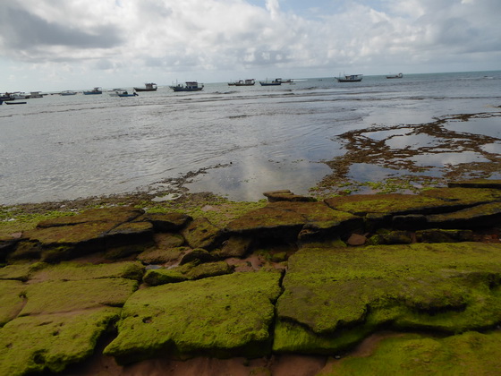  tivoli eco resort bahia de salvador brazil Praia Do Forte tivolieco resort bahia de salvador brazil Praia Do Forte 