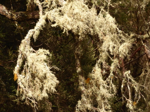 &nbsp;&nbsp;Gomera San sebastian Roque Columbus Gomera