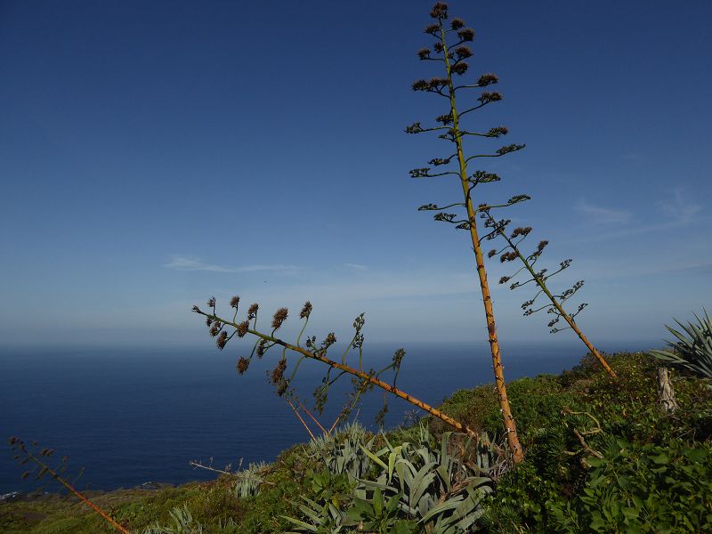   Charco Manso ist eine natrliche Badebucht  grosses Naturschwimmbecken  mit GrillstellenCharco Manso ist eine natrliche Badebucht  grosses Naturschwimmbecken  mit Grillstellen