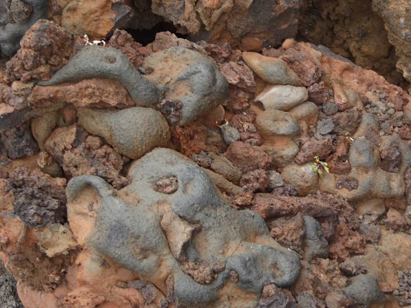 Charco Azul der blaue Teich Naturschwimmecken + ist eine von Fels gesichertes Badebecken