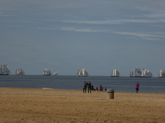 Scheveningen Seesterne nach dem Sturm Seestern