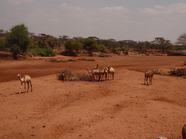 Kenia Fahrt Bogoria nach Samburu Kenia Fahrt Bogoria nach Samburu