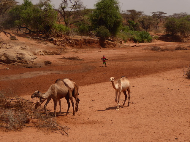 Kenia Fahrt Bogoria nach Samburu Kenia Fahrt Bogoria nach Samburu