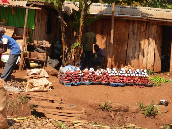 Kenia Fahrt Mara Bogoria Kenia Fahrt Mara Aberdare NP