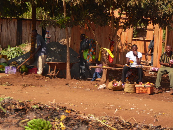 Kenia Fahrt Mara Bogoria Kenia Fahrt Mara Aberdare NP