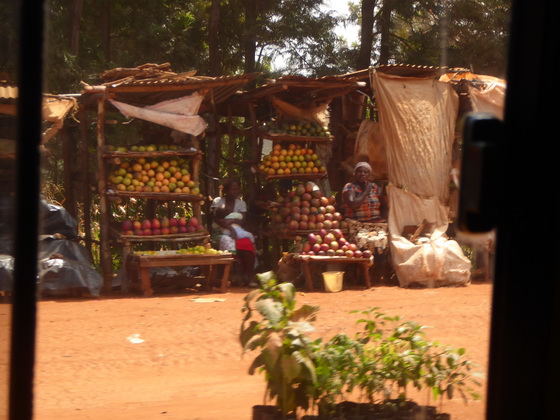 Kenia Fahrt Mara Bogoria Kenia Fahrt Mara Aberdare NP