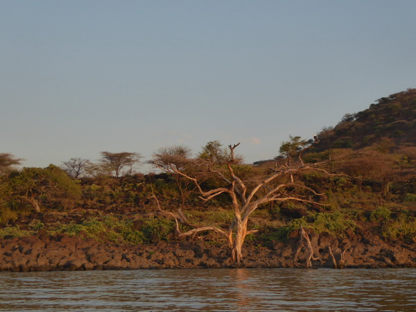 Kenia Lake Baringo Island Camp Boatsafari