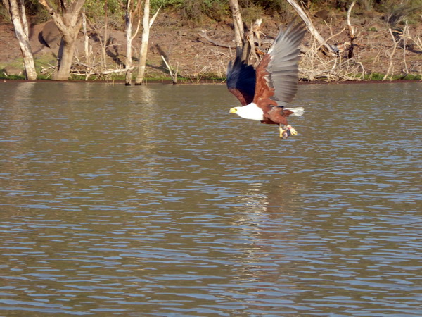 Kenia Lake Baringo Island Camp Boatsafari