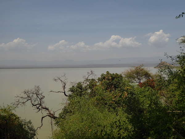 Kenia Lake Baringo Island Camp