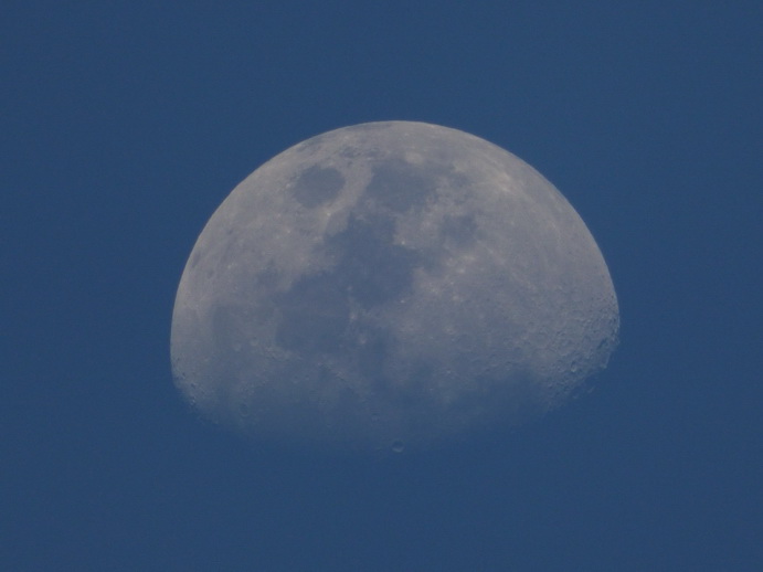 Kenia Lake Baringo Island Camp