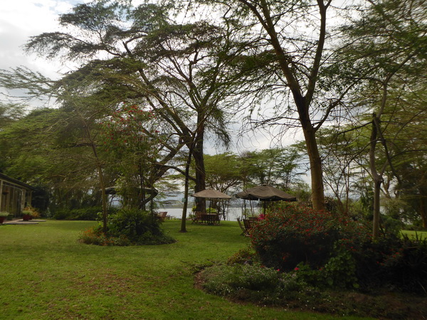    Kenia   Elsamere Naivasha Kenia   Elsamere Naivasha