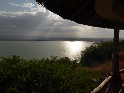 Sunbird Lodge   Lake Elementaita   Kenia   