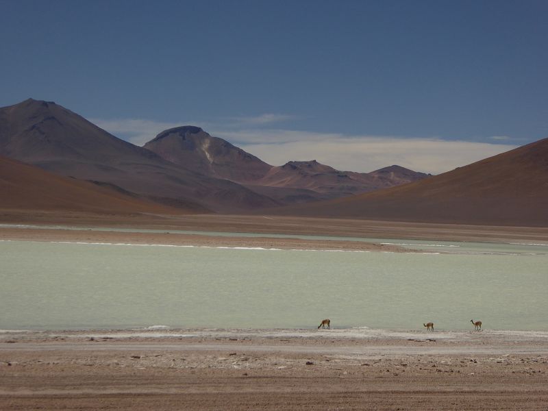 Laguna  Verde Vulcano Licancabur  5920 m und Salzsee Laguna Verde 4300 m 