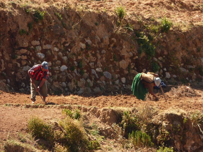 Copacabana Lago Titicaca Titicacasee Isla del Sol Isla de Luna Schlange Serpentina Serpiente