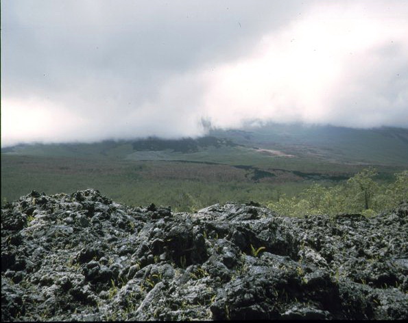  La Reunion   La Reunion Lavastop am meer