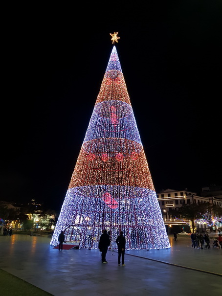 Madeira 2017 Christmastree Weihnachtsbaum Madeira 2017 Christmastree Weihnachtsbaum Weihnachtsschmuck