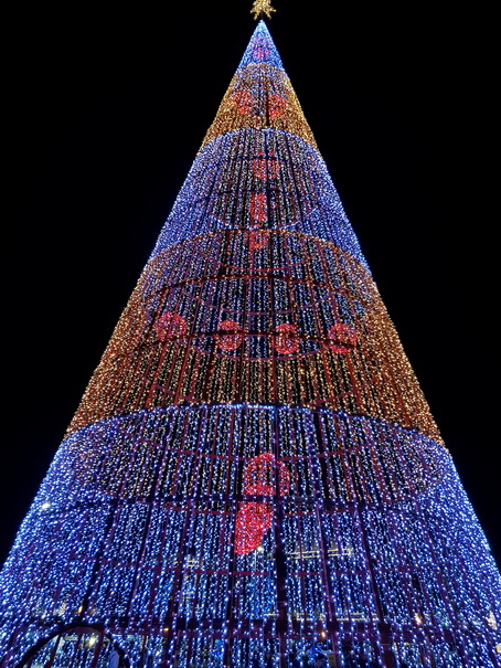 Madeira 2017 Christmastree Weihnachtsbaum Madeira 2017 Christmastree Weihnachtsbaum Weihnachtsschmuck