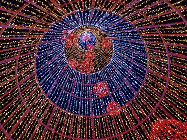 Madeira 2017 Christmastree Weihnachtsbaum Madeira 2017 Christmastree Weihnachtsbaum Weihnachtsschmuck