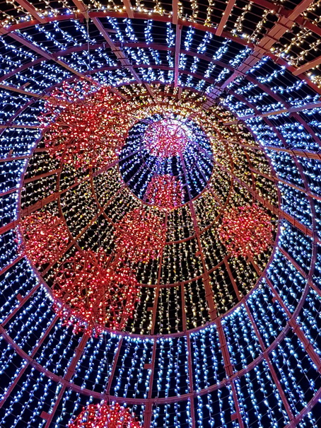 Madeira 2017 Christmastree Weihnachtsbaum Madeira 2017 Christmastree Weihnachtsbaum Weihnachtsschmuck