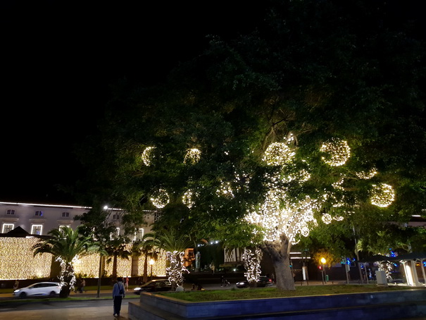 Madeira 2017 Christmastree Weihnachtsbaum Madeira 2017 Christmastree Weihnachtsbaum Weihnachtsschmuck