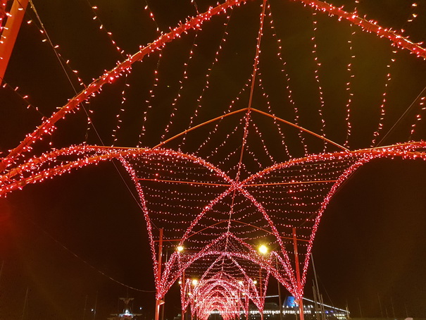 Madeira 2017 Christmastree Weihnachtsbaum Madeira 2017 Christmastree Weihnachtsbaum Weihnachtsschmuck