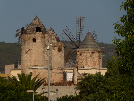 Palma de Mallorca Mallorca Avenida de Gabriel Roca Palma de Mallorca Mallorca Avenida de Gabriel Roca