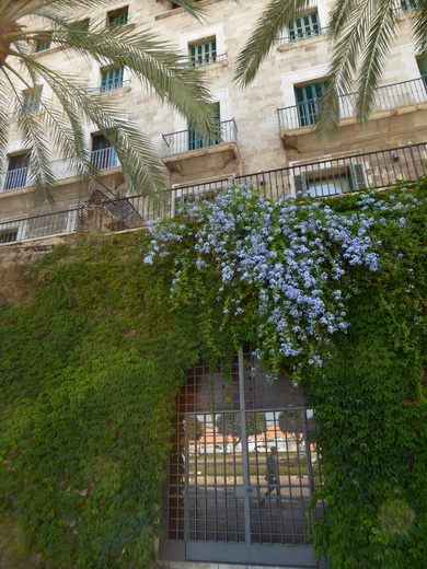 Palma de Mallorca Mallorca Avenida de Gabriel Roca Palma de Mallorca Mallorca Avenida de Gabriel Roca