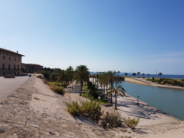 Palma de Mallorca Mallorca Cathedrale gaudi a seu