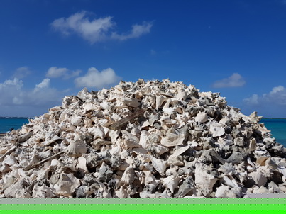 Bonaire Conch Berge MuschelbergeBonaire Bonaire Conch Berge Muschelberge