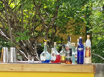 Curacao Willemstad Chobolobo Blue Curacao Curacao Willemstad Chobolobo Blue Curacao