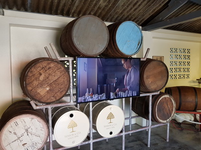 Curacao Willemstad Chobolobo Blue Curacao Curacao Willemstad Chobolobo Blue Curacao