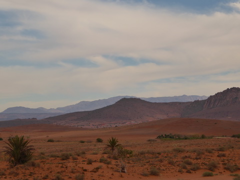  Marokko Agadir Rasbouka Duenen Atlasgebirge (2531 m) im Südwesten Marokkos Antiatlas