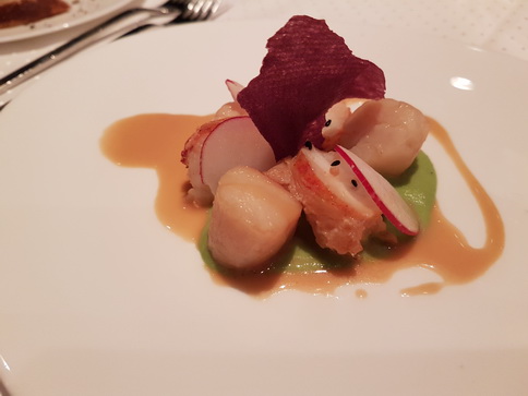 8 Gang Menü Rossini Aida Blu 8 Gang Menü Rossini Aida Blu