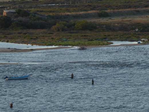   Olbia Sardinien  Hafen OlbiaOlbia Sardinien  Hafen Olbia